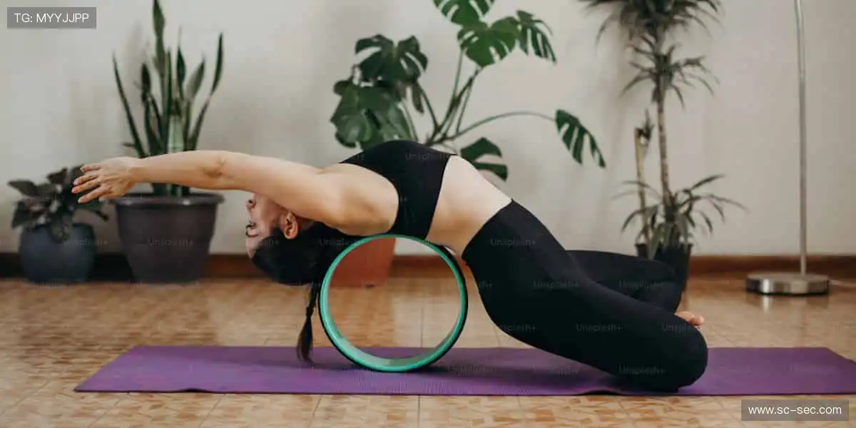 引擎轰鸣之处,即是虚拟与现实的奇幻交界!⚙️